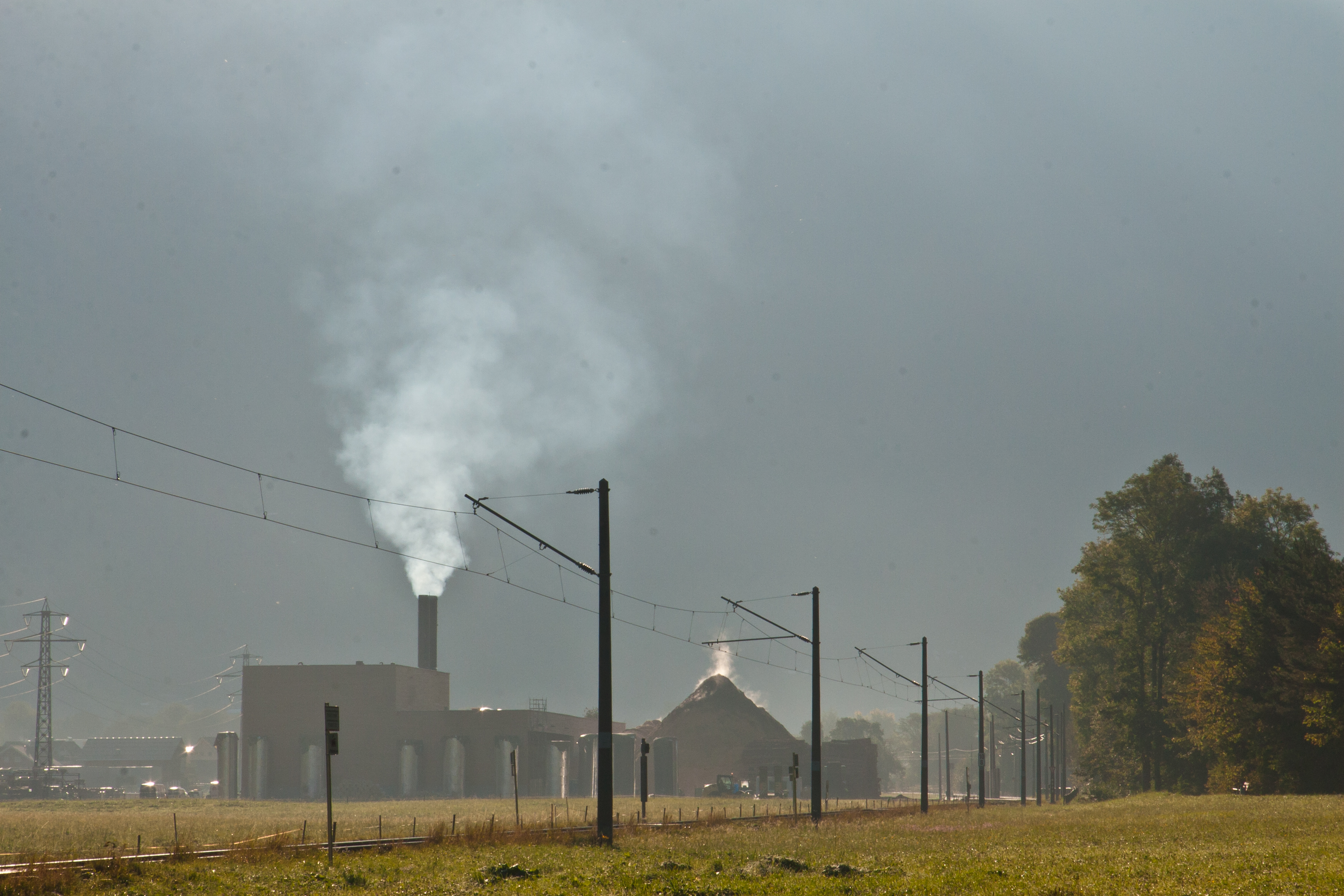 Klimaschutz und Wirtschaftswachstum